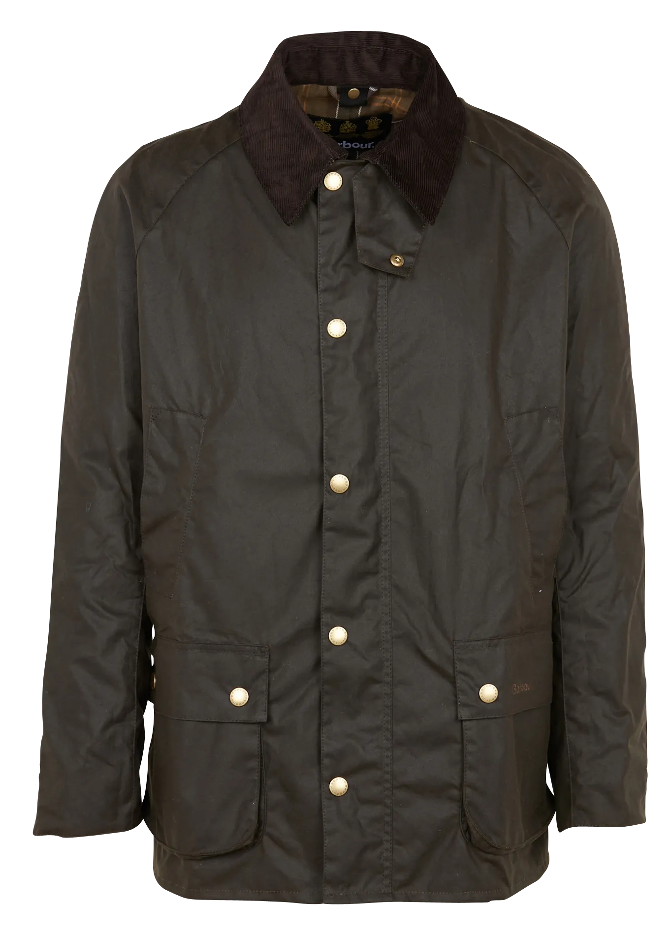  BARBOUR   ASHBY - Cappotto collo classico in cotone | Kaki