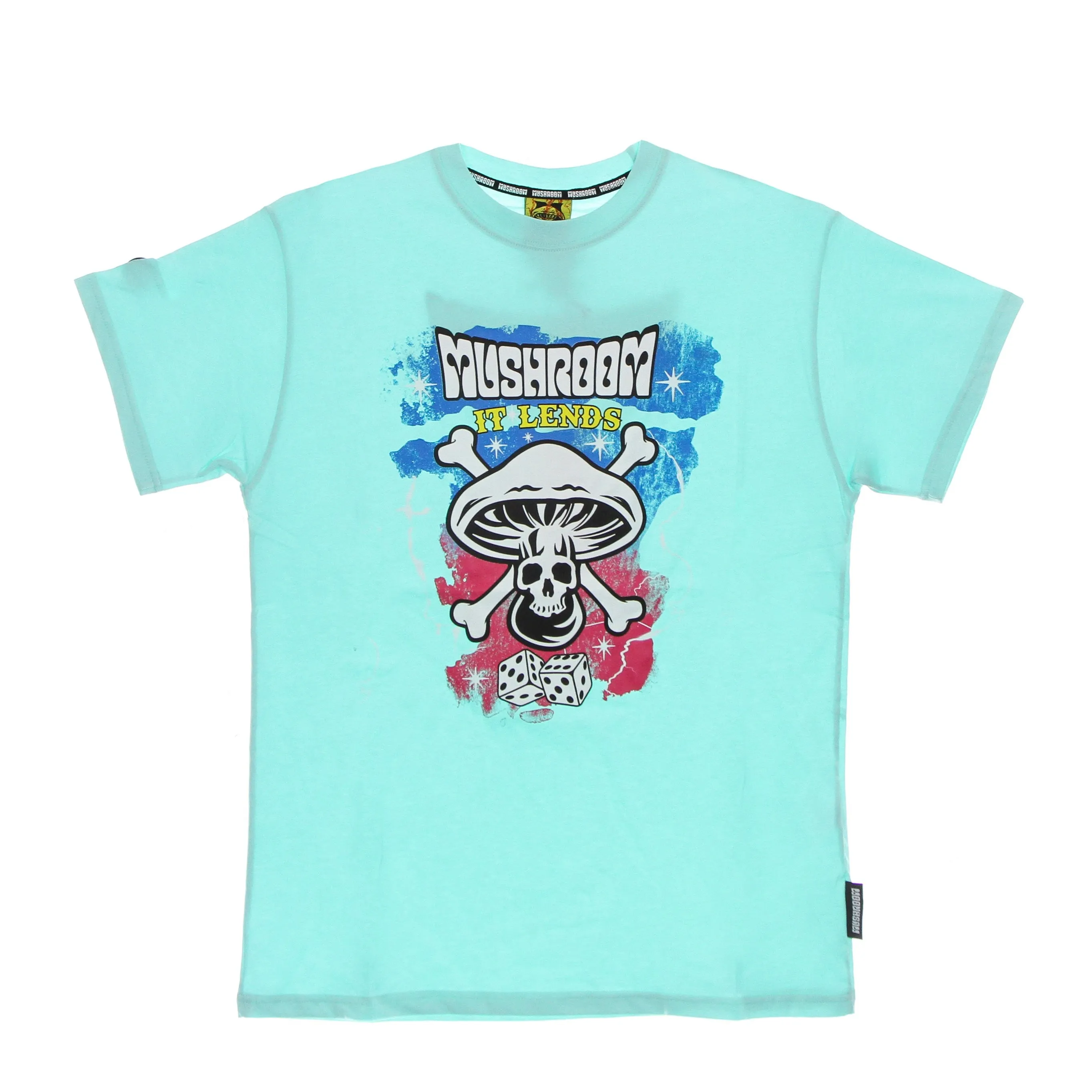 Maglietta Uomo It Lends Tee Mint Green