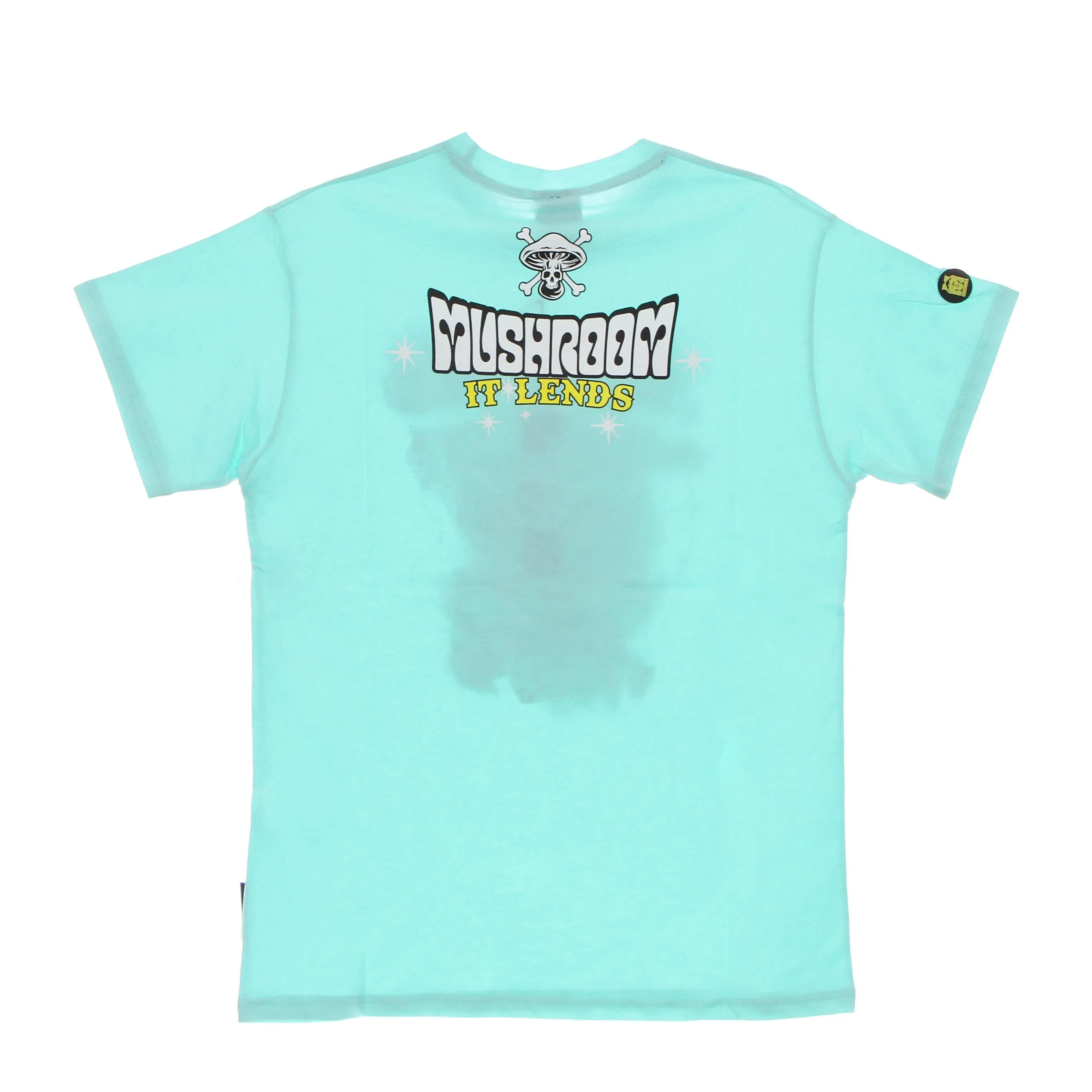 Maglietta Uomo It Lends Tee Mint Green