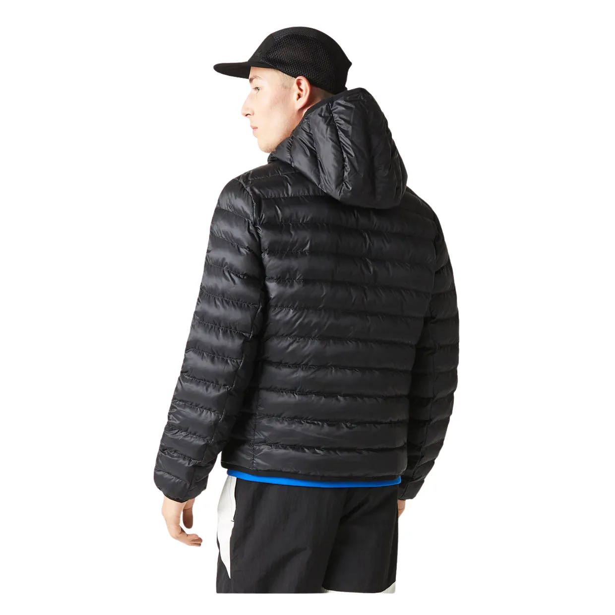 Piumino Uomo Lacoste Cappuccio Imbottito Nero