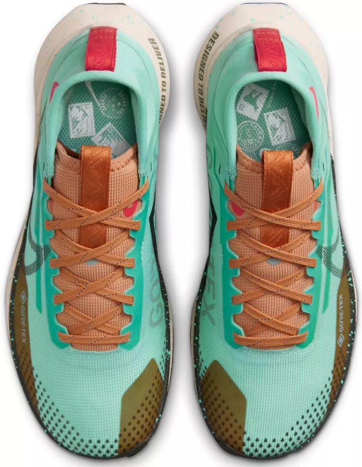 Scarpe per sentieri Nike Pegasus Trail 4 GORE-TEX