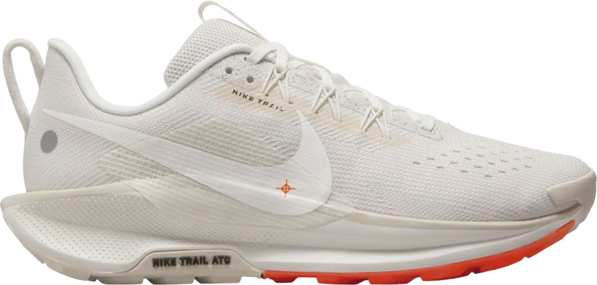 Scarpe per sentieri Nike Pegasus Trail 5
